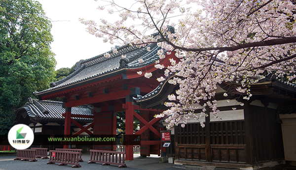 日本东京大学校园风景.png